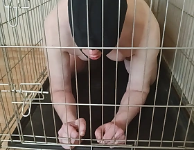 Your place is in the cage even if I'm not fucking your ass. Femdom pegging fetish